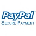 PayPal Hosting